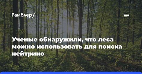 Как использовать команду для поиска искаженного леса