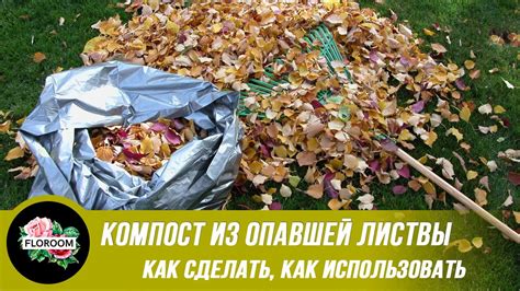 Как использовать компост для создания удобрения?