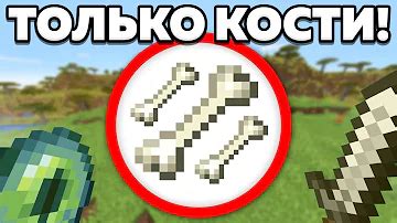 Как использовать кости в аду Minecraft