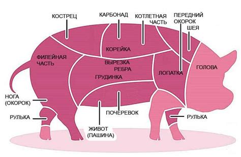 Как использовать мясо свиней в рецептах