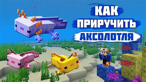 Как использовать прирученного аксолотля в игре