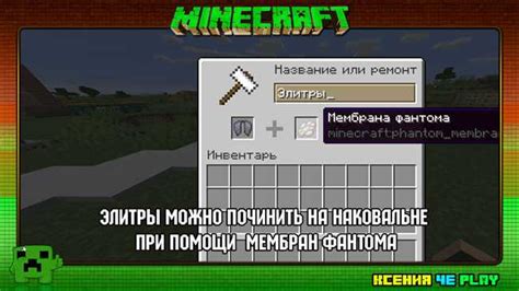 Как использовать элитру в Minecraft: подробное руководство