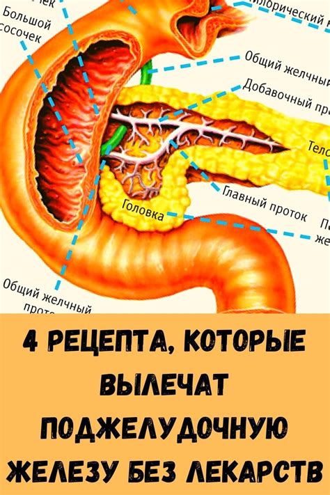 Как лечить вилочковую железу у детей