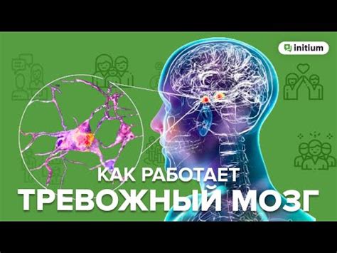 Как металлы влияют на работу мозга