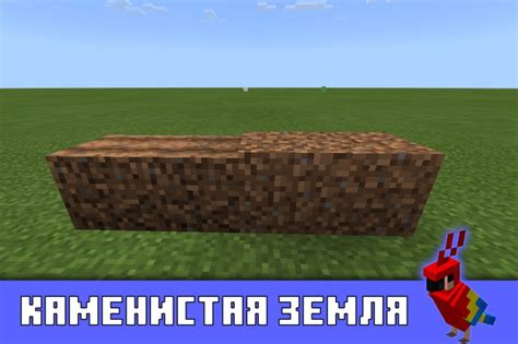 Как найти каменистую землю в Minecraft: полное руководство по локациям