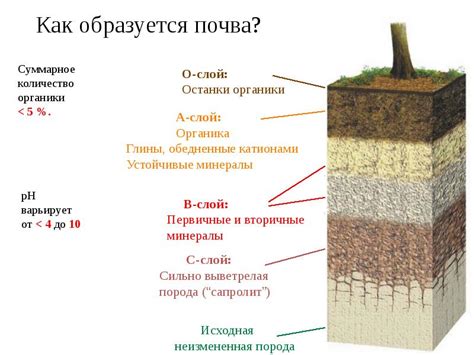 Как определить тип грунта под строительство