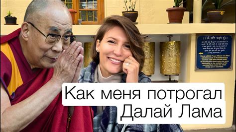 Как оседлать и управлять ламой