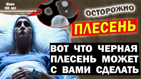 Как плесень влияет на металл?