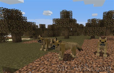 Как подготовиться к приручению волка в Minecraft моде Better Animals Plus?