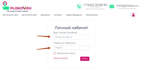 Как получить займ от Плисков по номеру телефона?