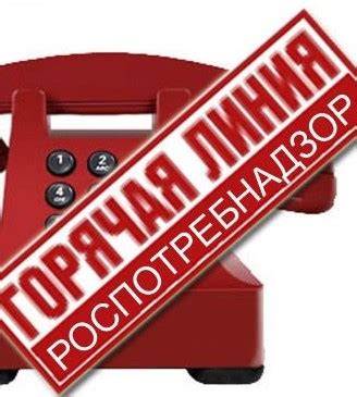 Как получить информацию по телефону горячей линии Мосгортранс Москвы?