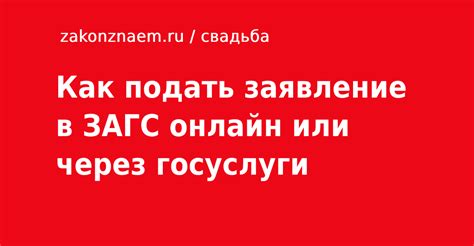 Как получить консультацию или подать заявление онлайн