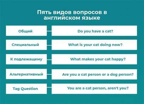 Как получить ответы на все вопросы?