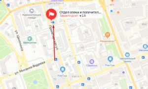 Как получить поддержку опеки Оренбургского района