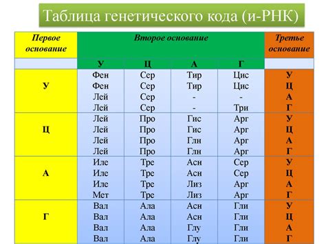 Как пользоваться таблицей