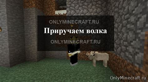 Как правильно кормить волка в Minecraft на телефоне