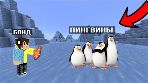 Как правильно кормить пингвинов в Minecraft