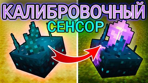 Как правильно настроить сенсор времени года в Minecraft