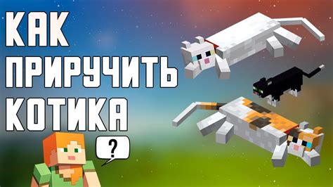 Как приручить кошку в Minecraft?