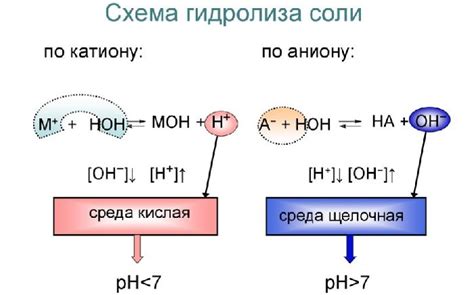 Как провести процесс гидролиза дома