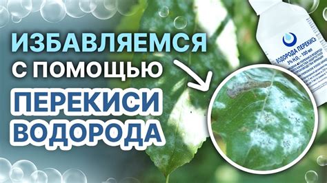 Как проводить очистку металла с помощью перекиси водорода