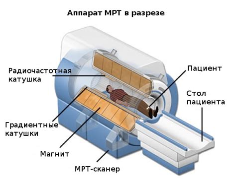 Как работает МРТ и зачем она нужна