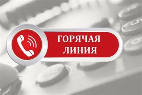 Как работает горячая линия 8 800