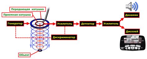 Как работает металлодетектор condtrol scan