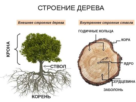 Как раздобыть дерево из дерева ада