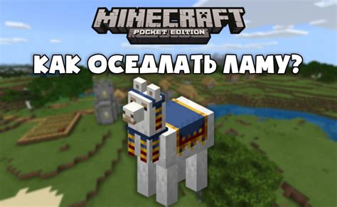 Как сделать ковер для ламы Minecraft самостоятельно?