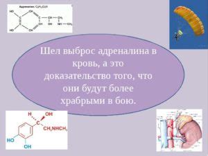 Как снизить выделение адреналина в организме?