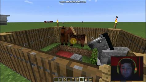 Как создать загон для лошадей в Minecraft: идеи и советы