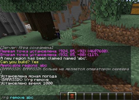 Как удалить регион на сервере Minecraft