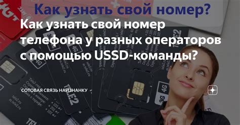 Как узнать номер лавы с помощью команды