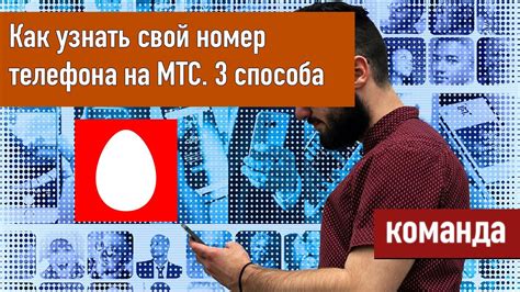 Как узнать свой оператор МТС по номеру телефона