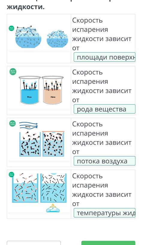 Как часто вода высыхает: основные факторы, влияющие на скорость