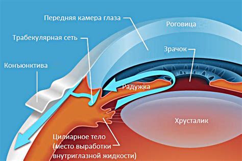 Камера и фото функции