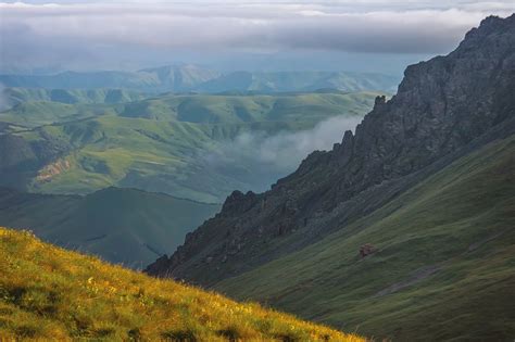 Карбоновые стали