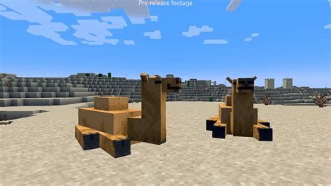 Карта "Бродячие псы в Minecraft": где найти, как установить, обзор и скачать бесплатно