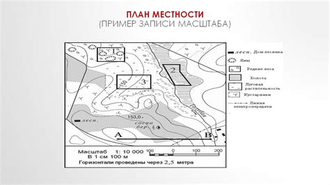 Карта местности и декоративные элементы