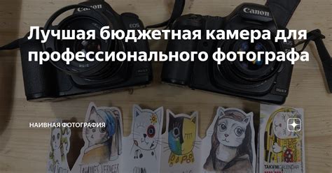 Качественная камера для отличных фотографий