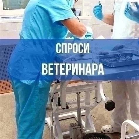 Квалифицированные специалисты отвечают на все вопросы