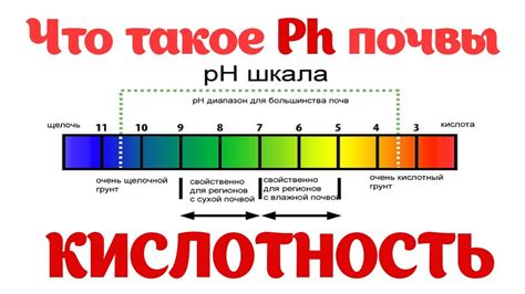 Кислотность и pH