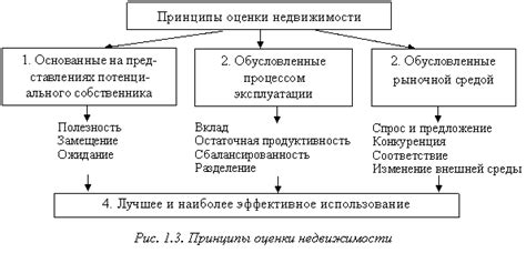 Классификация: основные принципы и подходы