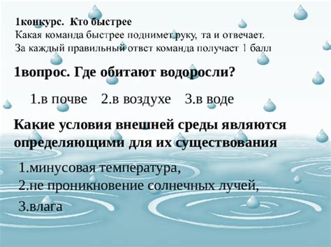 Класс 3: умеренное проникновение внешней среды, допустимое для некритических систем