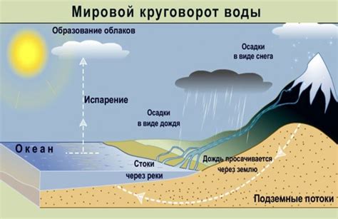 Климатические условия и соленая вода