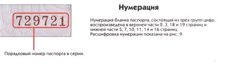 Код 831 в телефонном номере - о чем он говорит?