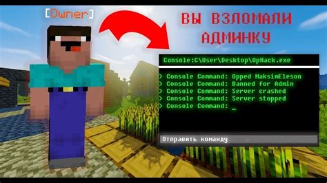 Команда для перевода денег в Minecraft: эффективный способ обмена в игре