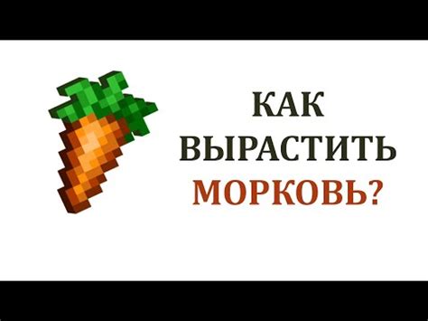 Команды для получения морковки