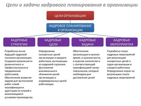 Компетенции и задачи отдела кадров